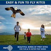 PESTEZE USA Bald Eagle EZ to Fly Kite with String for Beach, Park & Yard. Also Bird Deterrent to Protect Garden & Crops from Pest Birds