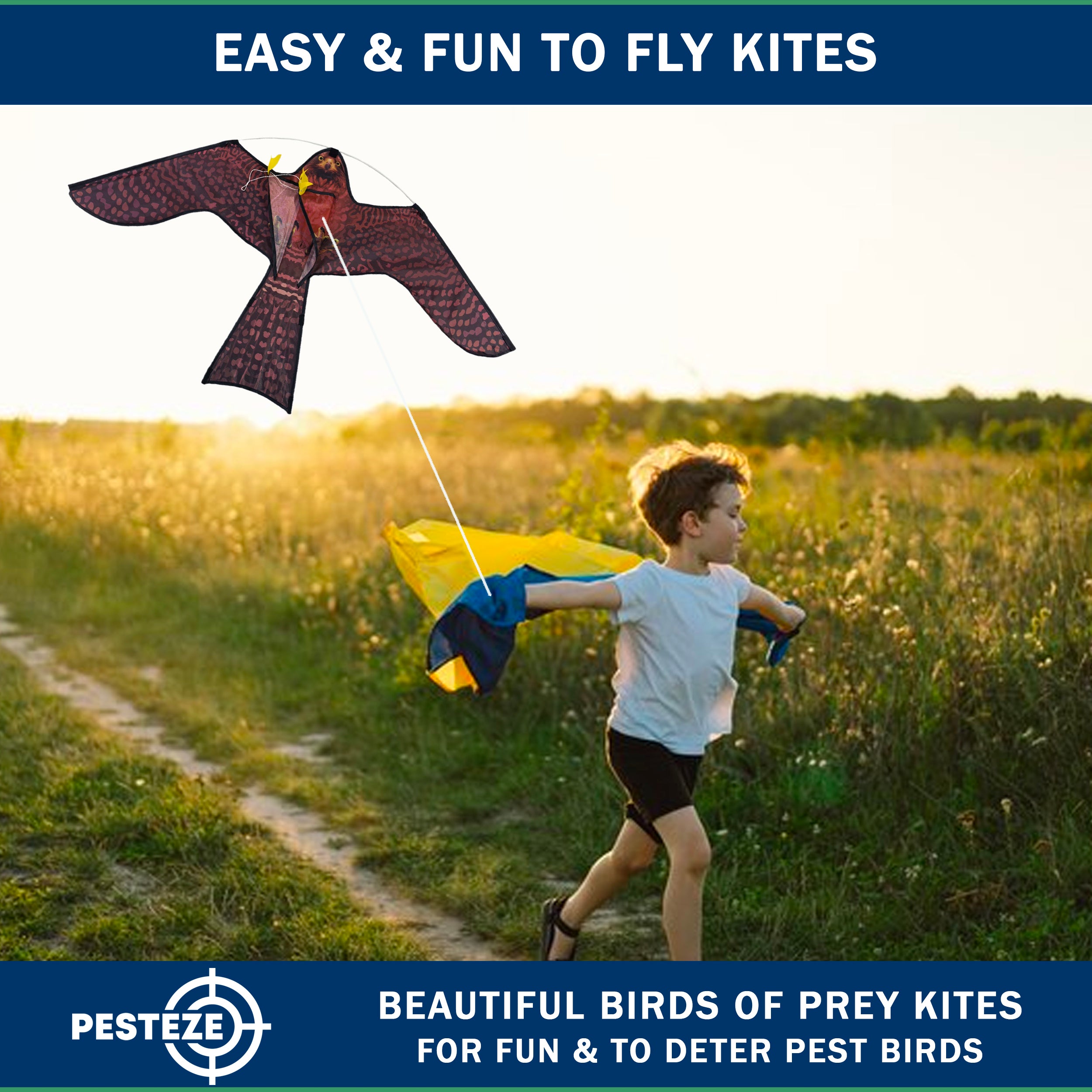 PESTEZE® USA Realistic Hawk Kite [47x27 Inch] EZ & Fun to Fly. Also Provides Humane Bird Deterrence in Yards & Farms. Protects Vegetables, Fruits & Crops from Pest Birds & Critters