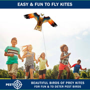 PESTEZE® USA Brown Eagle EZ to Fly Kite with String for Beach, Park & Yard. Also Bird Deterrent to Protect Garden & Crops from Pest Birds