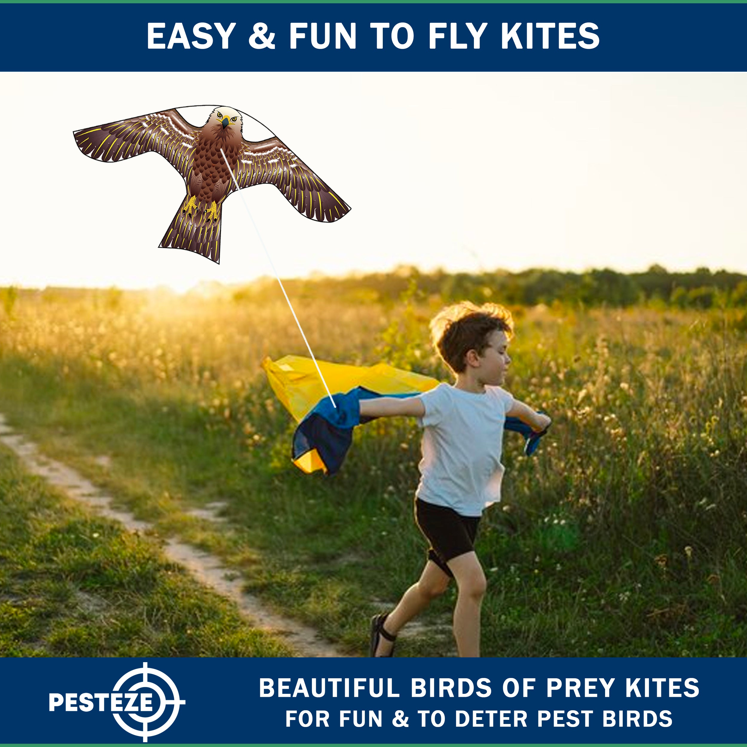 PESTEZE® USA Hawk Kite [2 Pack - 47x27 Inch Kite]. EZ and Fun to Fly. Also Provides Humane Bird Deterrence in Yards & Farms. Protects Vegetables, Fruits & Crops from Pest Birds