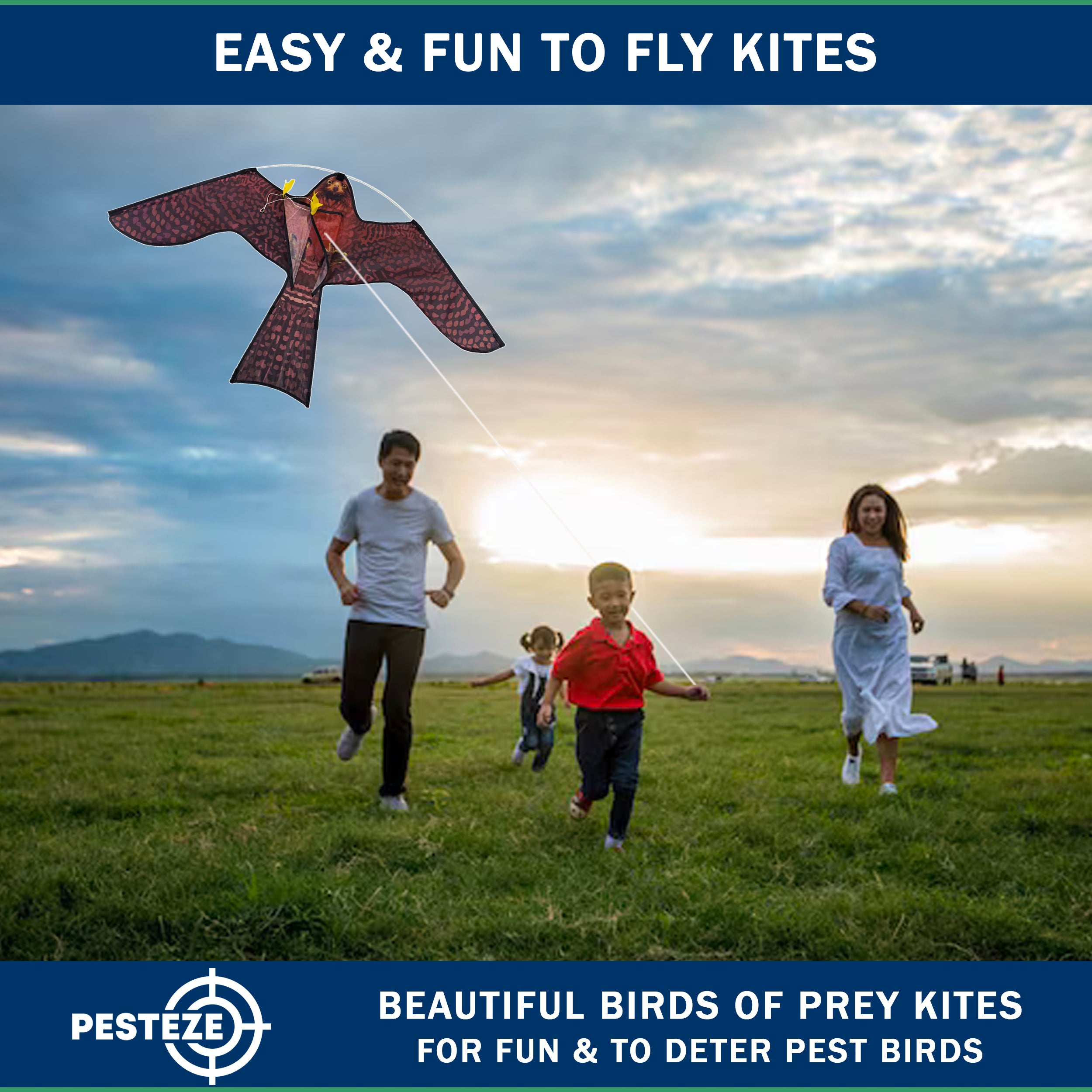 PESTEZE® USA Realistic Hawk Kite [47x27 Inch] EZ & Fun to Fly. Also Provides Humane Bird Deterrence in Yards & Farms. Protects Vegetables, Fruits & Crops from Pest Birds & Critters