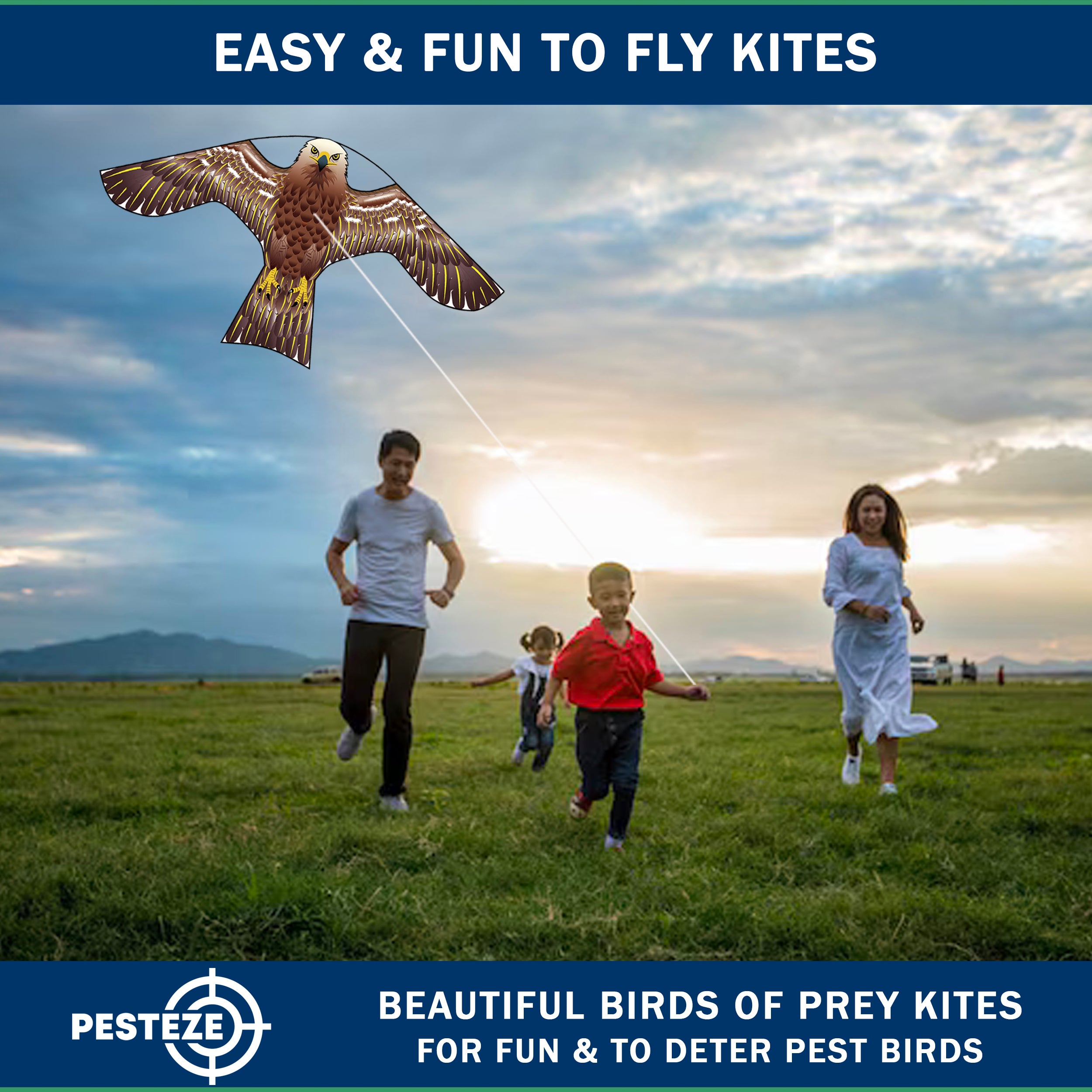PESTEZE® USA Hawk Kite [2 Pack - 47x27 Inch Kite]. EZ and Fun to Fly. Also Provides Humane Bird Deterrence in Yards & Farms. Protects Vegetables, Fruits & Crops from Pest Birds