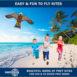 PESTEZE® USA Hawk Kite [2 Pack - 47x27 Inch Kite]. EZ and Fun to Fly. Also Provides Humane Bird Deterrence in Yards & Farms. Protects Vegetables, Fruits & Crops from Pest Birds