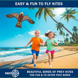 PESTEZE® USA Hawk Kite [47x27 Inch] EZ & Fun to Fly. Also Provides Humane Bird Deterrence in Yards & Farms. Protects Vegetables, Fruits & Crops from Pest Birds & Critters