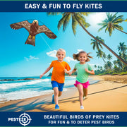 PESTEZE® USA Hawk Kite [2 Pack - 47x27 Inch Kite]. EZ and Fun to Fly. Also Provides Humane Bird Deterrence in Yards & Farms. Protects Vegetables, Fruits & Crops from Pest Birds