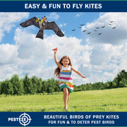 PESTEZE® USA Premium Realistic Eagle Kite with String- 47x27 Inch. EZ & Fun to Fly. Provides Humane Pest Bird Deterrence in Yards & Farms. Protects Vegetables, Fruits & Crops