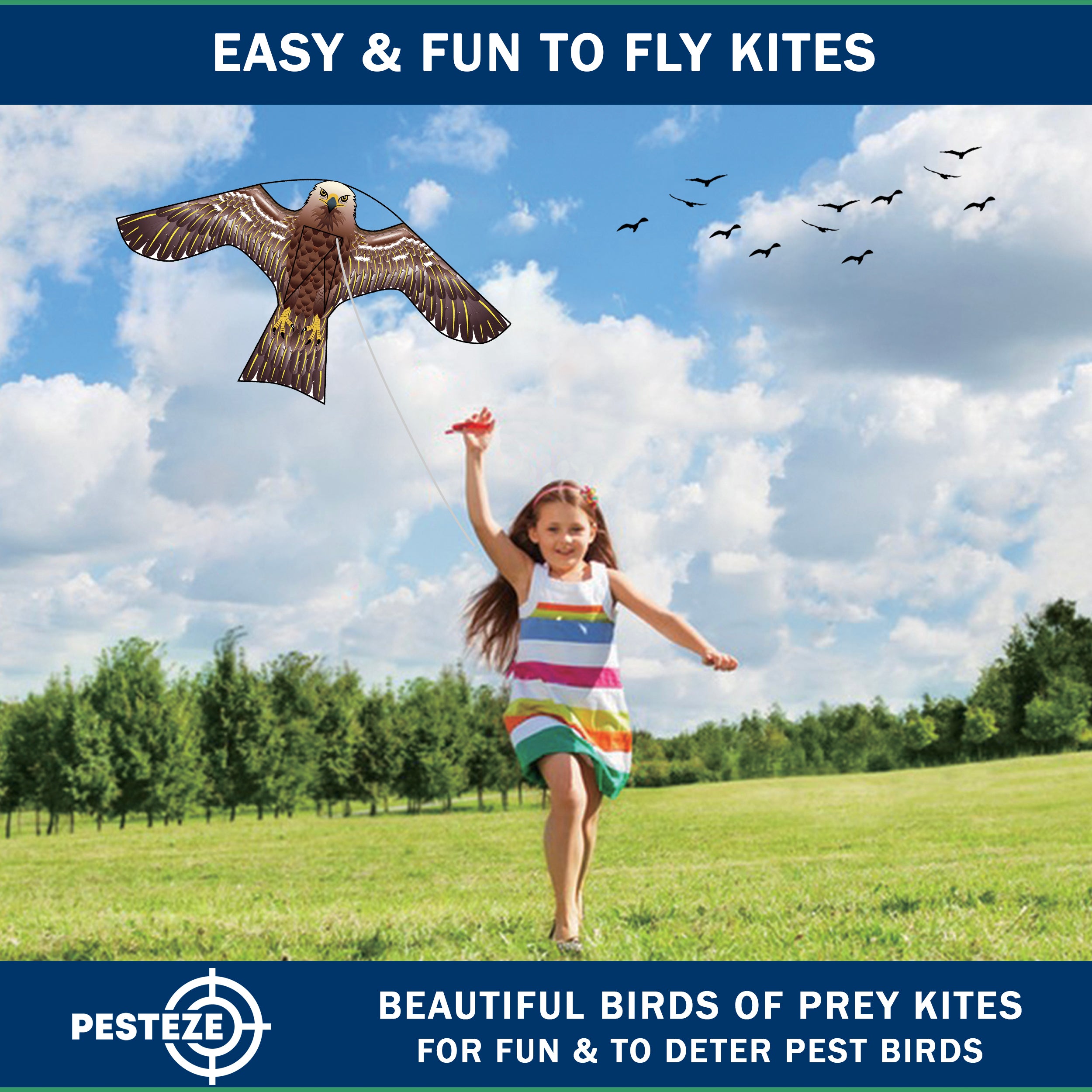 PESTEZE® USA [2 Pack Brown Color] Hawk 47x27 Inch Kite with 13 Ft Flagpole. Provides Humane Bird Deterrence in Yards & Farms. Protects Vegetables, Fruits & Crops from Pest Birds & Critters