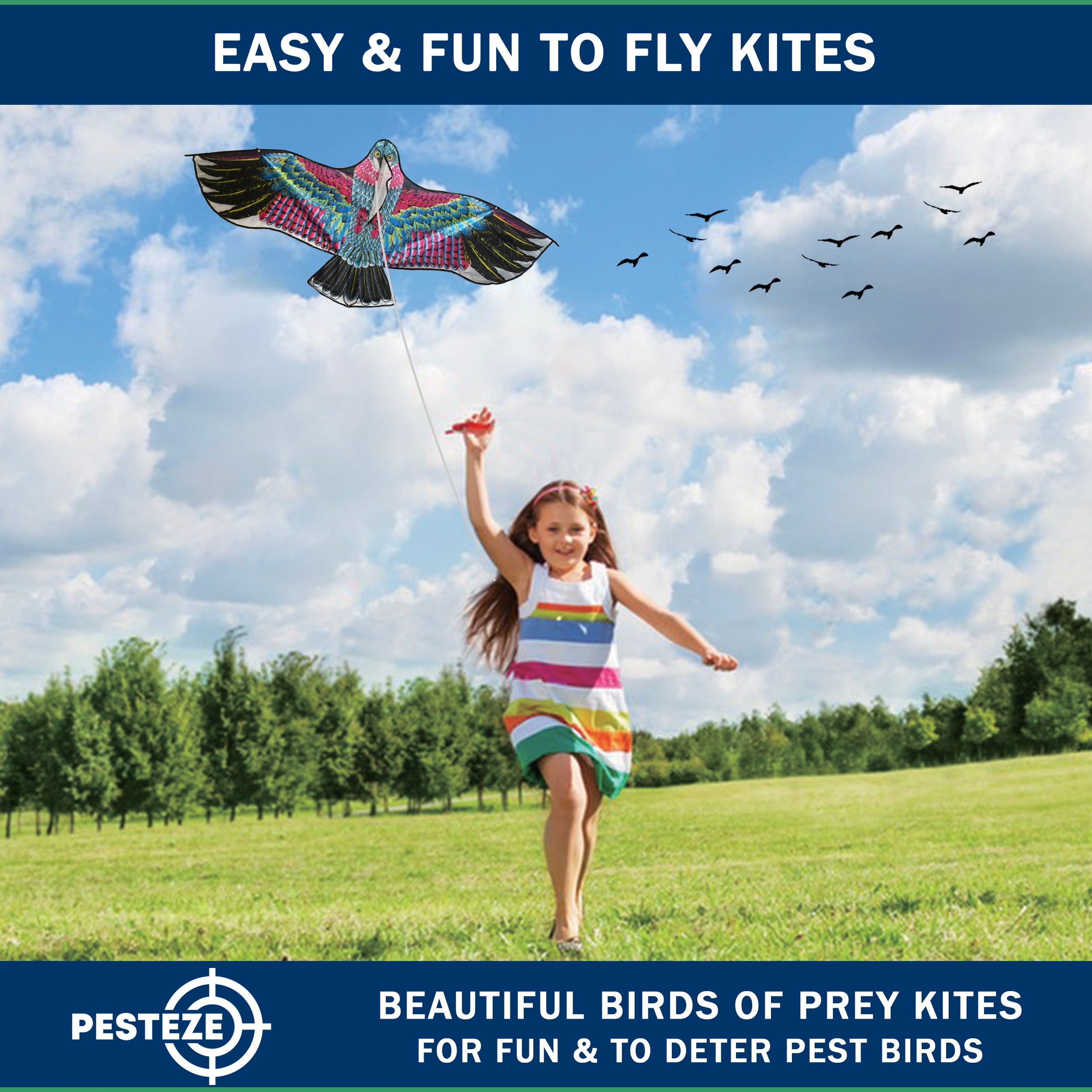 PESTEZE® USA Huge Eagle Kite [2 Pack- 60x28 Inch]. EZ & Fun to Fly. Also provides Humane Bird Deterrence in Yards & Farms. Protects Vegetables, Fruits & Crops from Pest Birds