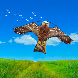 PESTEZE® USA [2 Pack Brown Color] Hawk 47x27 Inch Kite with 13 Ft Flagpole. Provides Humane Bird Deterrence in Yards & Farms. Protects Vegetables, Fruits & Crops from Pest Birds & Critters