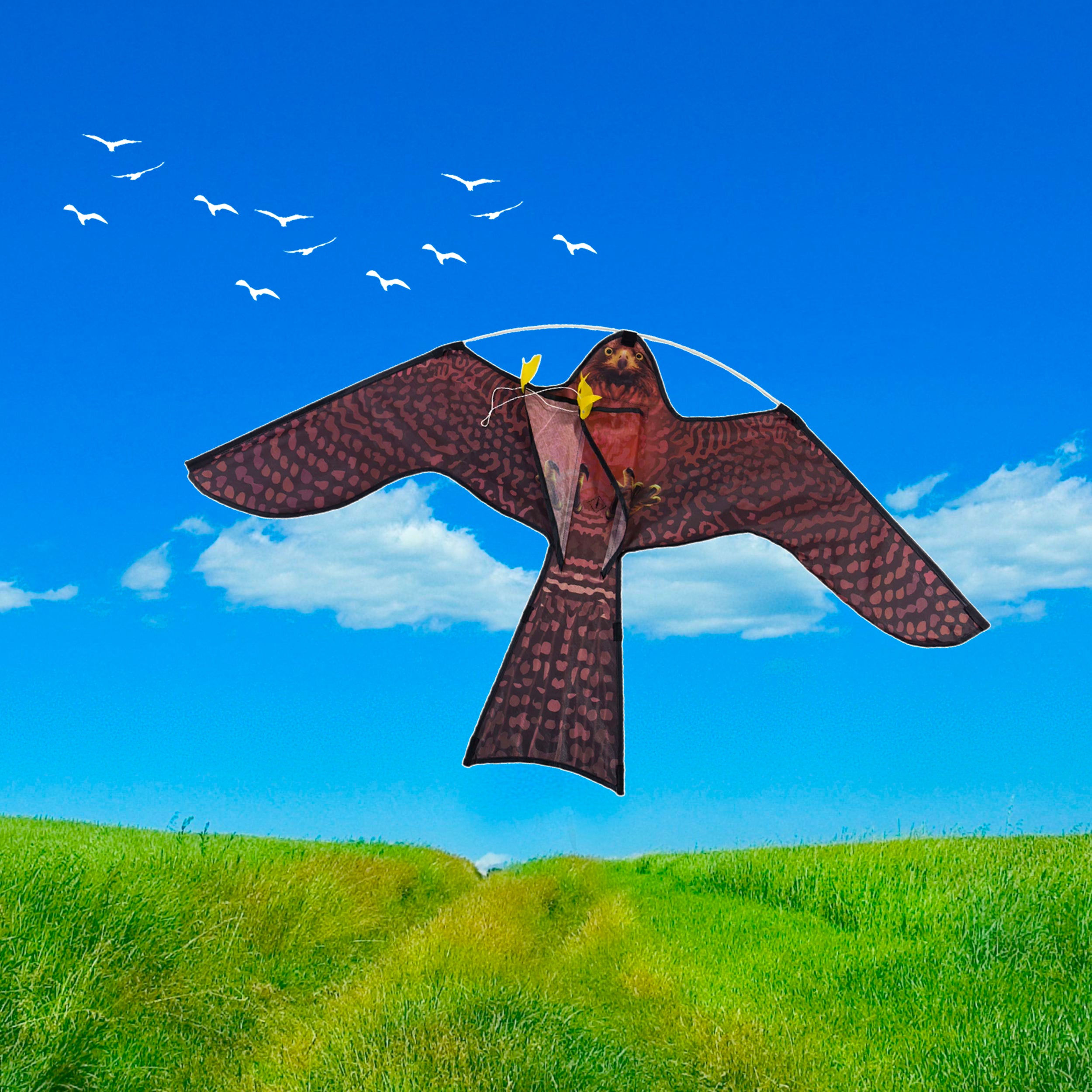 PESTEZE® USA Realistic Hawk Kite [47x27 Inch] EZ & Fun to Fly. Also Provides Humane Bird Deterrence in Yards & Farms. Protects Vegetables, Fruits & Crops from Pest Birds & Critters