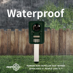 PESTEZE® Solar Ultrasonic Bird Repeller. Detects & Deters  Pest Birds like Woodpeckers, Pigeons, Crows, Ducks, Geese & Critters from Yards using Ultrasonic Sounds. Does not Harm Birds or People - Pesteze