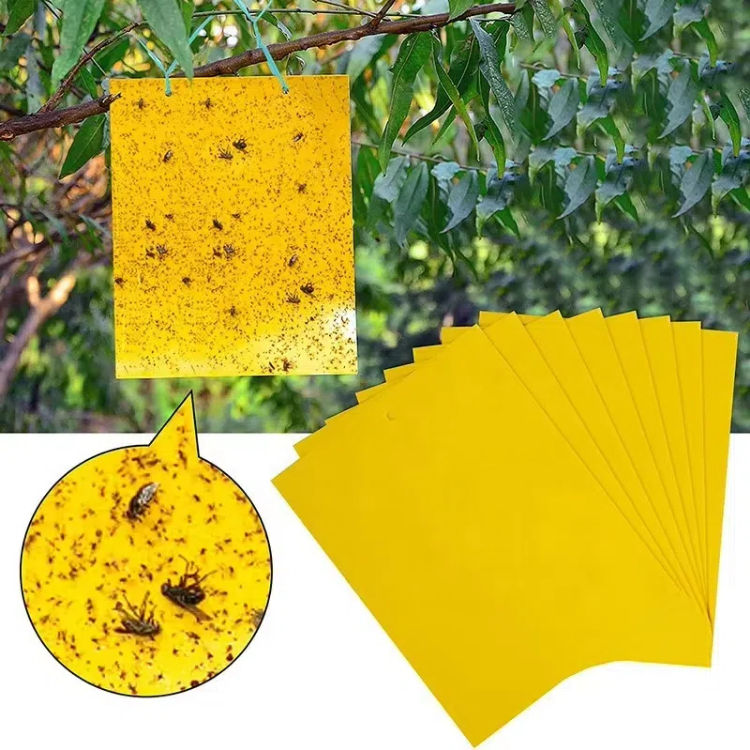 BUGEZE® USA Yellow Double Sided Sticky Flying Insect Traps [20 Pack- 6X8 Inches]