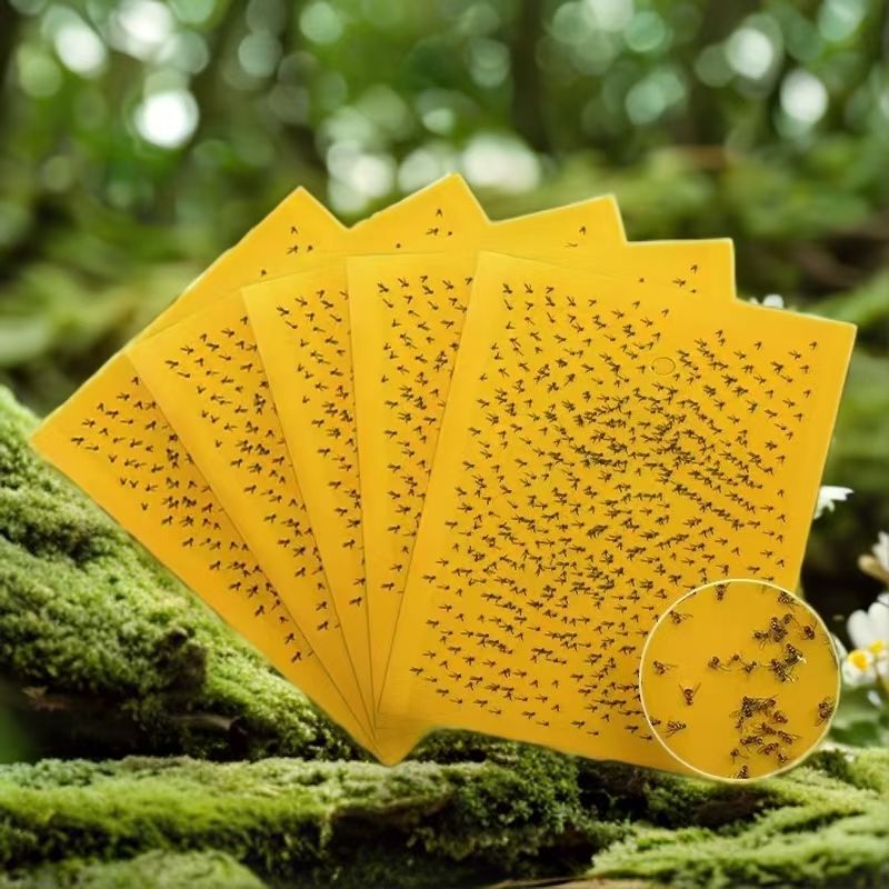 BUGEZE® USA Yellow Double Sided Sticky Flying  Insect Traps [10 Pack- 4X8 Inches]