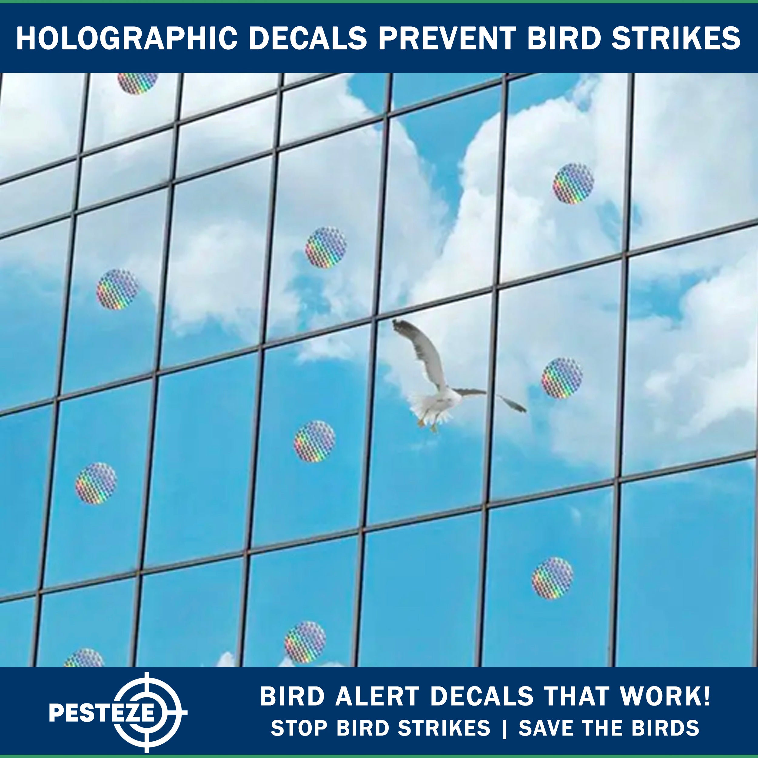 20 Pack PESTEZE® Shiny Holographic Bird Repellent Stickers [3 Inch] Reflection Scares Pest Birds like Woodpeckers, Sparrows, Pigeons, Crows, Gulls & Critters without Harming them