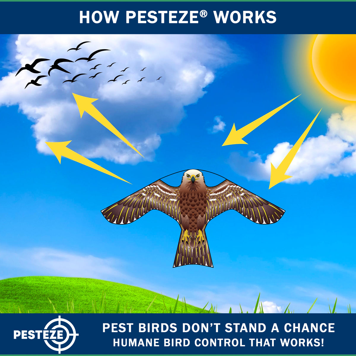PESTEZE® USA Hawk Kite [47x27 Inch Kite with 13 Ft Flagpole] Provides Humane Bird Deterrence in Yards & Farms. Protects Vegetables, Fruits & Crops from Pest Birds & Critters