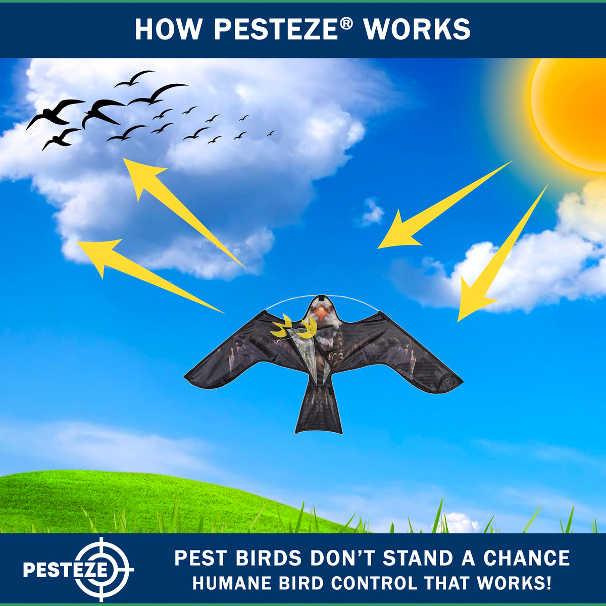 PESTEZE® USA Realistic Eagle Kite [2 Pack- 46 x 26 Inch with 13 ft Flagpole] Use in Yards & Farms to Protect Vegetables, Fruits & Crops from Pest Birds & Critters without Harming Them