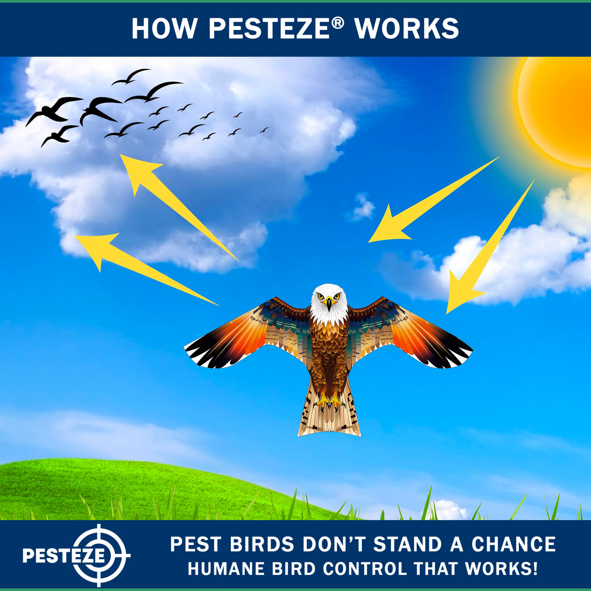 PESTEZE® USA Brown Eagle Bird Deterrent Kite with 13 ft Flagpole - Use in Yards & Farms to Protect Vegetables, Fruits, Crops & Property from Pest Birds