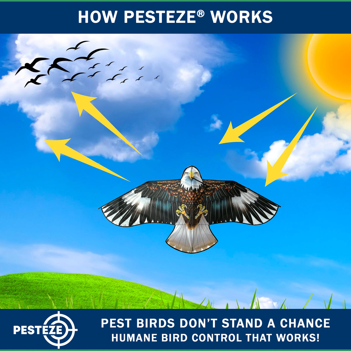 PESTEZE® USA Flying Hawk Bird Deterrent Kite, 13 ft Pole– Realistic 54x30 Inch Hawk Decoy Scare Device for Gardens, Yards, Boats & Farms– Repels Pest Birds like Crows, Pigeons, Seagulls, Geese Humanely