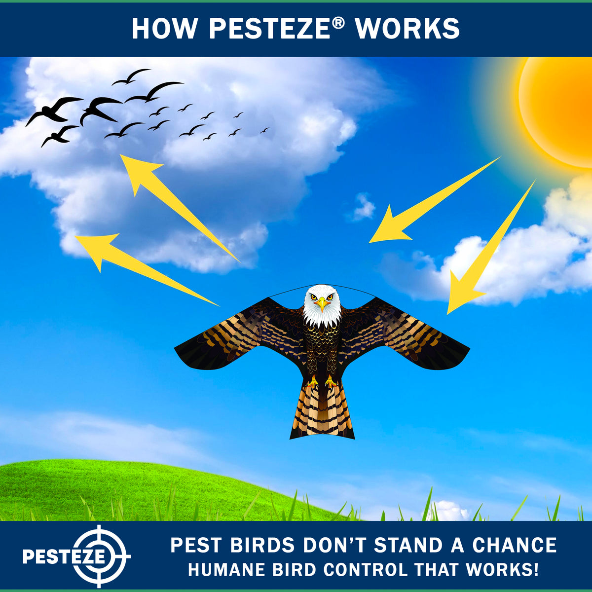 PESTEZE® USA Bald Eagle Bird Deterrent Kite with 13 ft Flagpole - Use in Yards & Farms to Protect Vegetables, Fruits, Crops & Property from Pest Birds