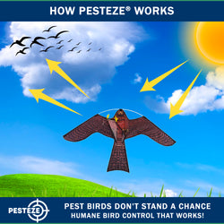 PESTEZE® USA Realistic Hawk Bird Scarer Kite [46 x 26 Inch with 13 ft Flagpole]. Use in Yards & Farms to Protect Vegetables, Fruits, Crops & Buildings from Pest Birds & Critters without Harming Them