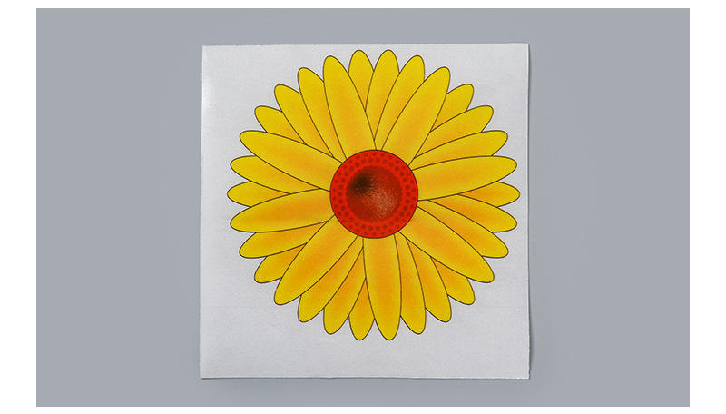 BUGEZE® USA Sunflower Sticky Window Fly Trap [4 Pack-]