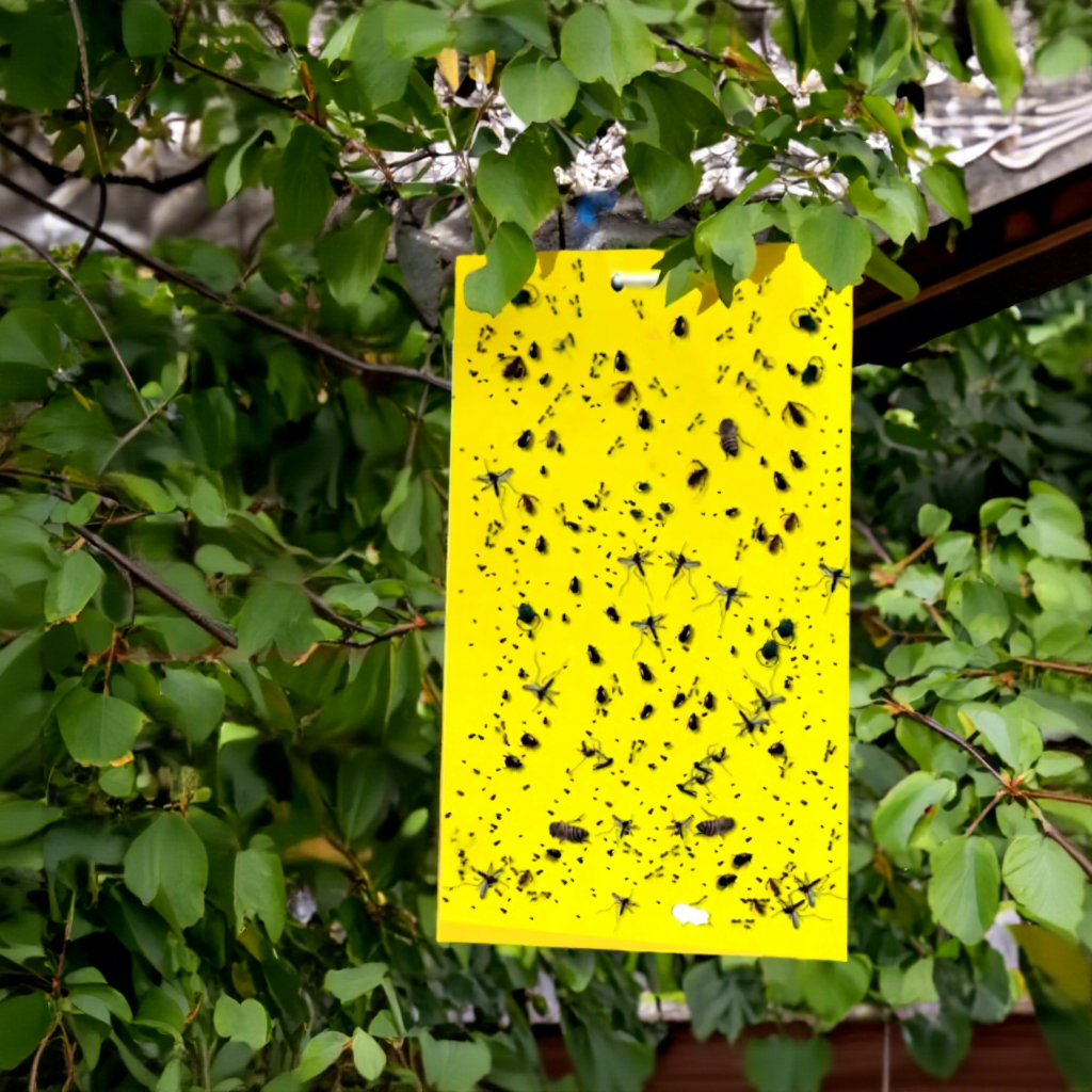 BUGEZE® USA Round Yellow Double Sided Sticky Flying Insect Traps [20 Pack- 8x10 Inches]