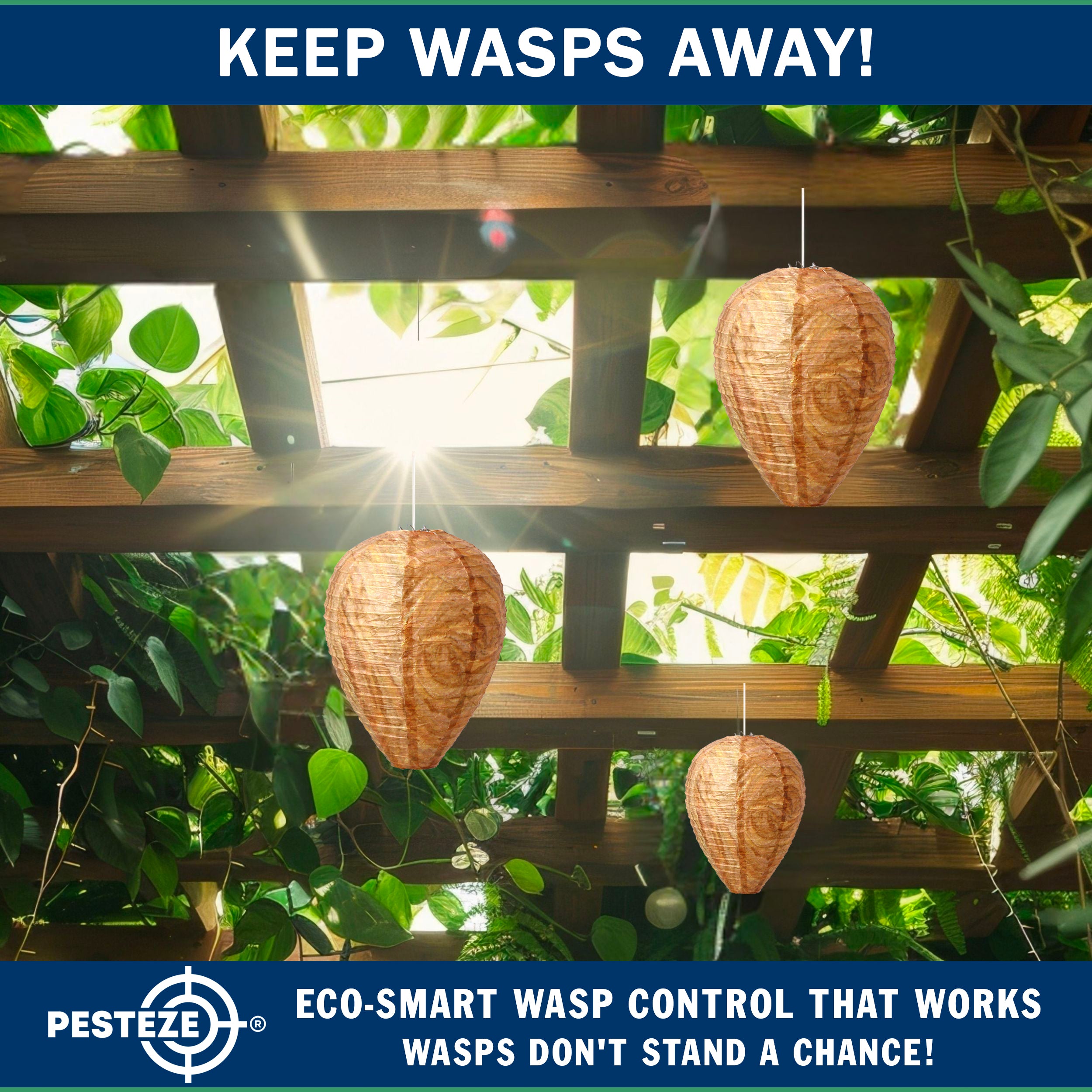 PESTEZE® USA Brown Waterproof Hanging Wasp Decoy Nest [2 Pack] Deters Several Wasp, Hornet & Yellow Jacket Species by Simulating Enemy Hives.