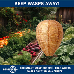 PESTEZE® USA Brown Waterproof Hanging Wasp Decoy Nest [2 Pack] Deters Several Wasp, Hornet & Yellow Jacket Species by Simulating Enemy Hives.