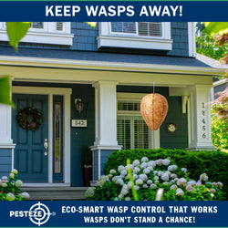 PESTEZE® USA Brown Waterproof Hanging Wasp Decoy Nest [2 Pack] Deters Several Wasp, Hornet & Yellow Jacket Species by Simulating Enemy Hives.