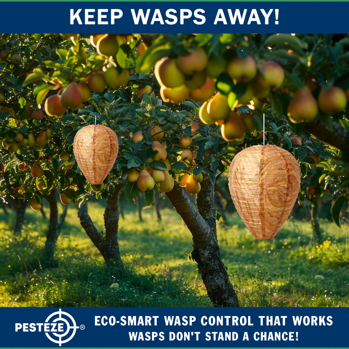 PESTEZE® USA Brown Waterproof Hanging Wasp Decoy Nest [2 Pack] Deters Several Wasp, Hornet & Yellow Jacket Species by Simulating Enemy Hives.