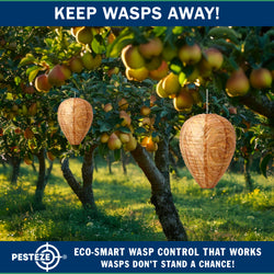 PESTEZE® USA Brown Waterproof Hanging Wasp Decoy Nest [2 Pack] Deters Several Wasp, Hornet & Yellow Jacket Species by Simulating Enemy Hives.