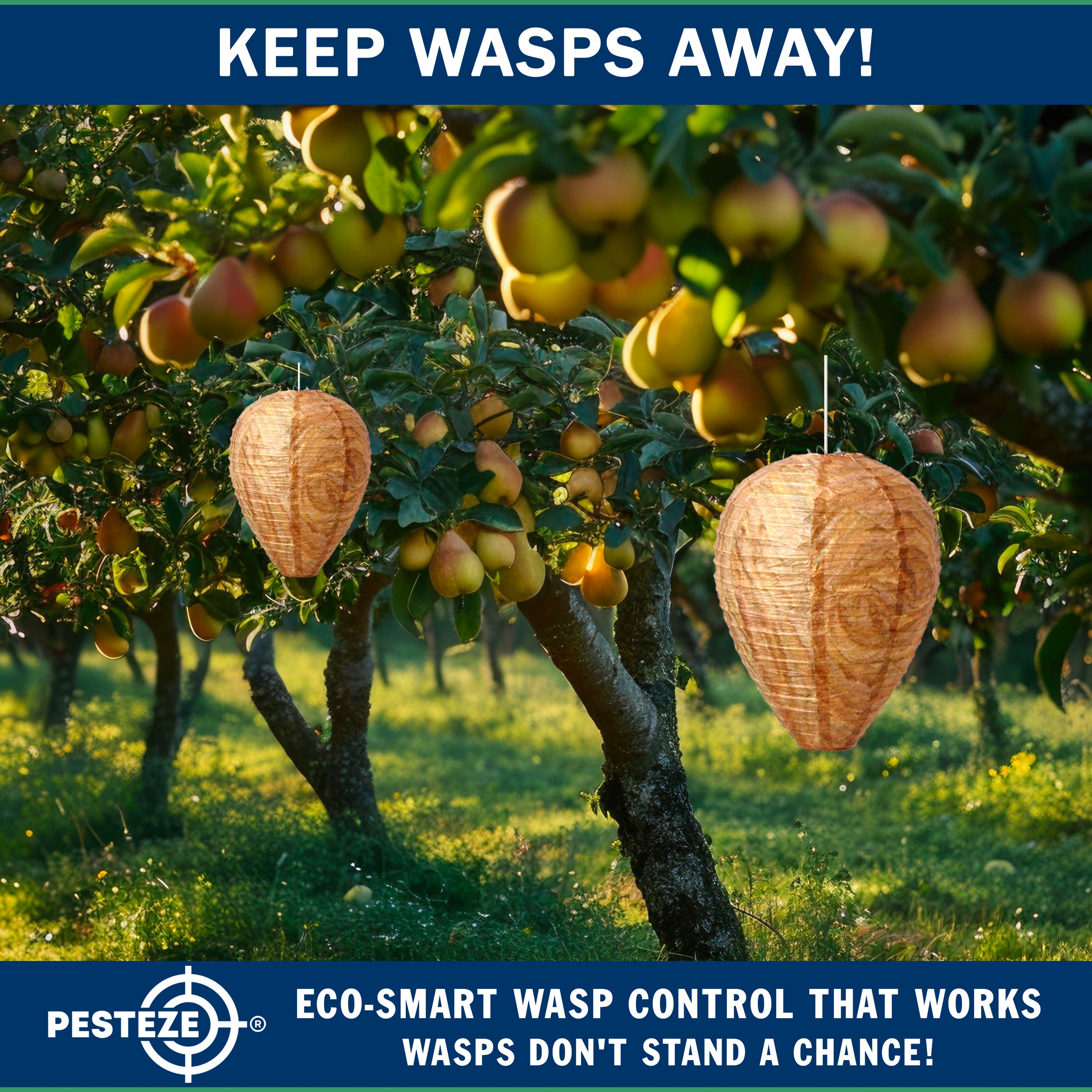 PESTEZE® USA Brown Waterproof Hanging Wasp Decoy Nest [2 Pack] Deters Several Wasp, Hornet & Yellow Jacket Species by Simulating Enemy Hives.