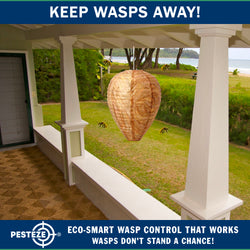 PESTEZE® USA Brown Waterproof Hanging Wasp Decoy Nest [2 Pack] Deters Several Wasp, Hornet & Yellow Jacket Species by Simulating Enemy Hives.