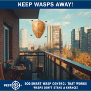 PESTEZE® USA Brown Waterproof Hanging Wasp Decoy Nest [2 Pack] Deters Several Wasp, Hornet & Yellow Jacket Species by Simulating Enemy Hives.