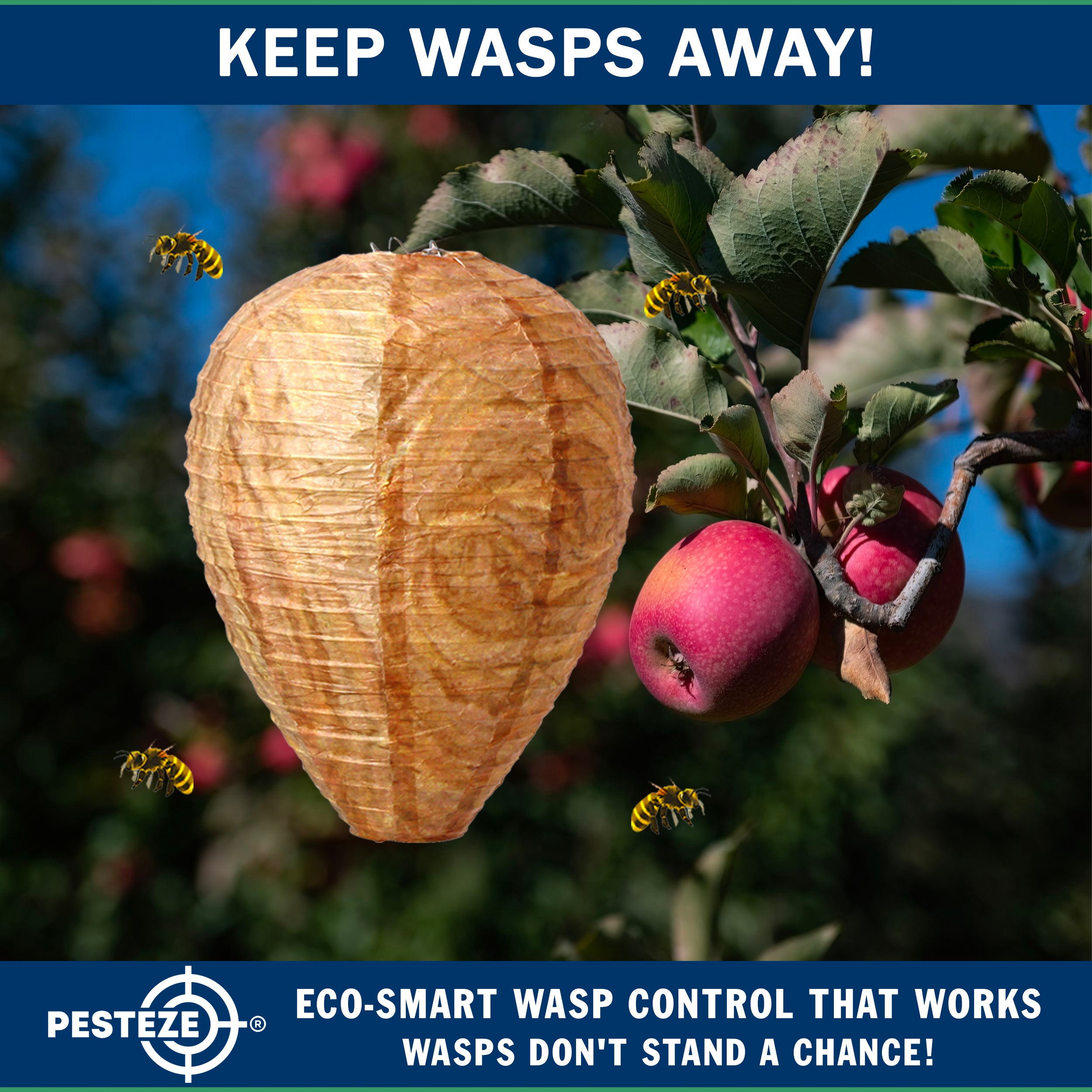 PESTEZE® USA Brown Waterproof Hanging Wasp Decoy Nest [2 Pack] Deters Several Wasp, Hornet & Yellow Jacket Species by Simulating Enemy Hives.