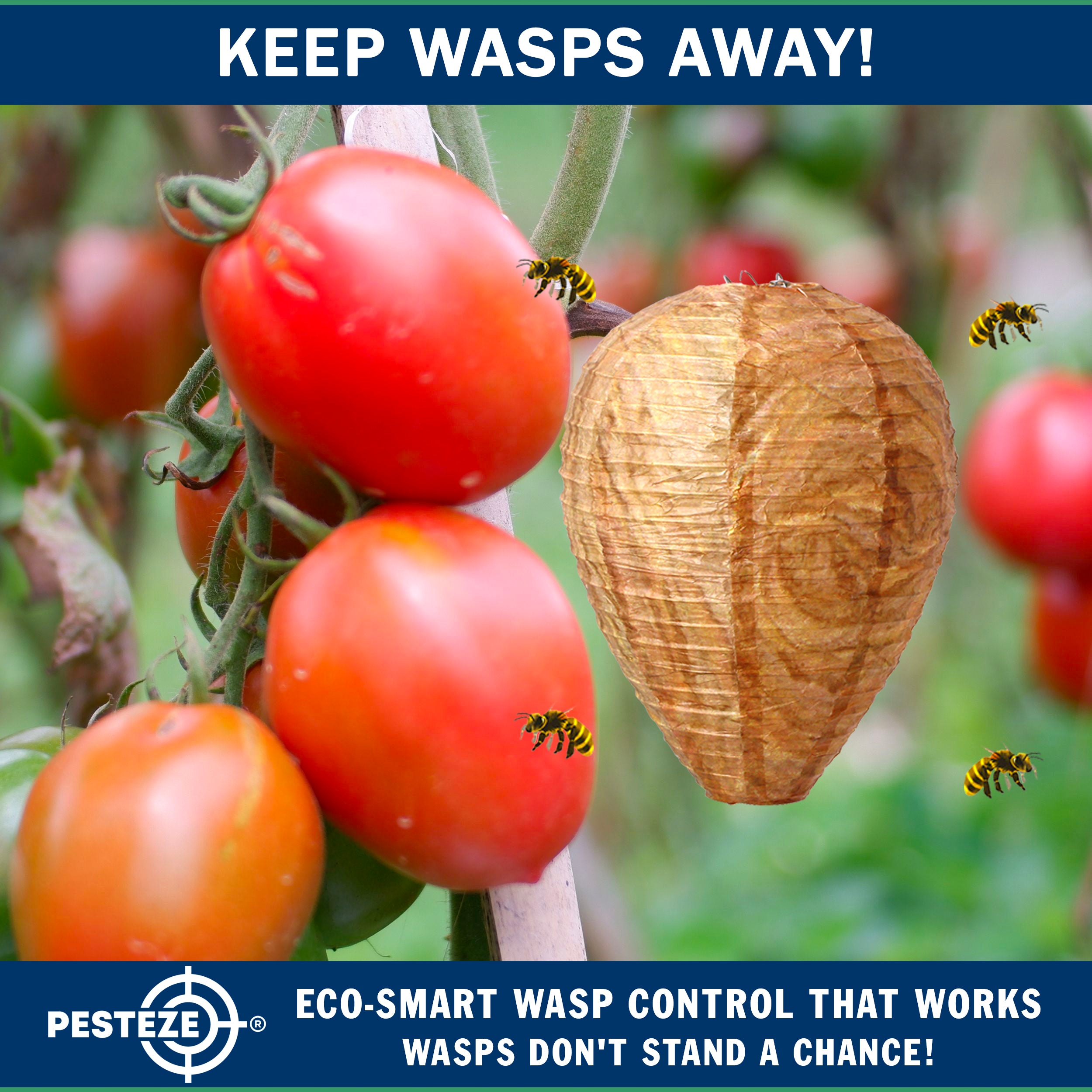 PESTEZE® USA Brown Waterproof Hanging Wasp Decoy Nest [2 Pack] Deters Several Wasp, Hornet & Yellow Jacket Species by Simulating Enemy Hives.