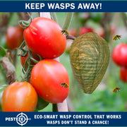 PESTEZE® USA Green Camo Paper Hanging Wasp Decoy Nest [4 Pack] Deters Several Wasp, Hornet & Yellow Jacket Species without Harsh Chemicals by Simulating Enemy Hives.