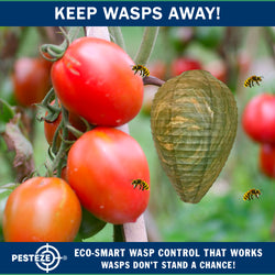 PESTEZE® USA Green Camo Paper Hanging Wasp Decoy Nest [11.8 x 8.6 Inch] Deters Several Wasp, Hornet & Yellow Jacket Species without Harsh Chemicals by Simulating Enemy Hives.