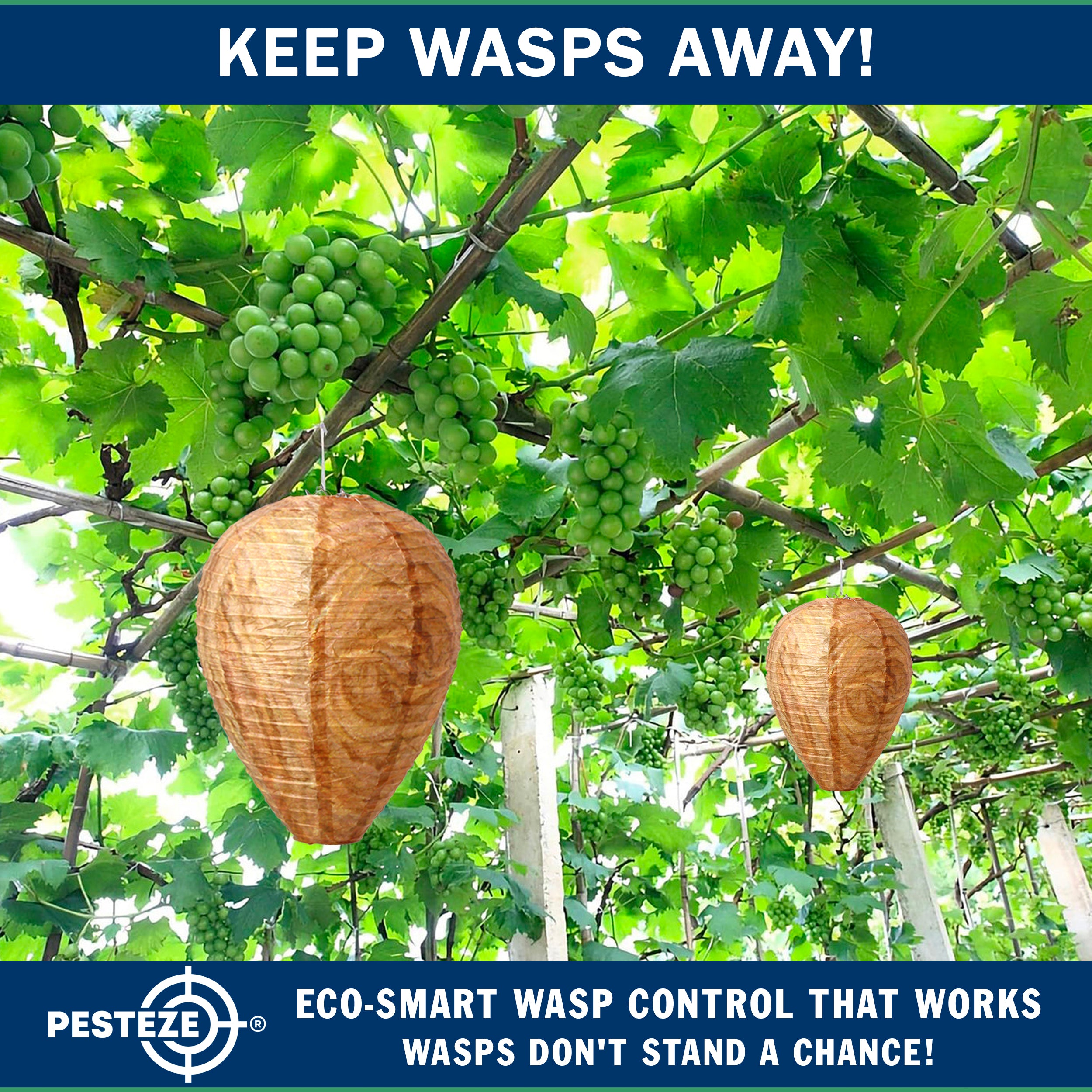 PESTEZE® USA Brown Waterproof Hanging Wasp Decoy Nest [2 Pack] Deters Several Wasp, Hornet & Yellow Jacket Species by Simulating Enemy Hives.
