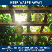 PESTEZE® USA Green Camo Paper Hanging Wasp Decoy Nest [4 Pack] Deters Several Wasp, Hornet & Yellow Jacket Species without Harsh Chemicals by Simulating Enemy Hives.