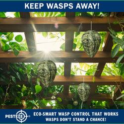 PESTEZE® USA Green Camo Waterproof Hanging Wasp Decoy Nest [11.8 x 8.6 Inch] Deters Several Wasp, Hornet & Yellow Jacket Species by Simulating Enemy Hives.