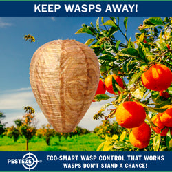PESTEZE® USA Brown Waterproof Hanging Wasp Decoy Nest [2 Pack] Deters Several Wasp, Hornet & Yellow Jacket Species by Simulating Enemy Hives.