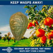 PESTEZE® USA Green Camo Paper Hanging Wasp Decoy Nest [4 Pack] Deters Several Wasp, Hornet & Yellow Jacket Species without Harsh Chemicals by Simulating Enemy Hives.