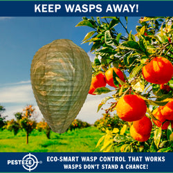 PESTEZE® USA Green Camo Paper Hanging Wasp Decoy Nest [11.8 x 8.6 Inch] Deters Several Wasp, Hornet & Yellow Jacket Species without Harsh Chemicals by Simulating Enemy Hives.