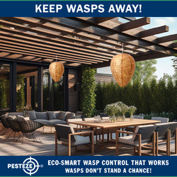 PESTEZE® USA Brown Waterproof Hanging Wasp Decoy Nest [2 Pack] Deters Several Wasp, Hornet & Yellow Jacket Species by Simulating Enemy Hives.