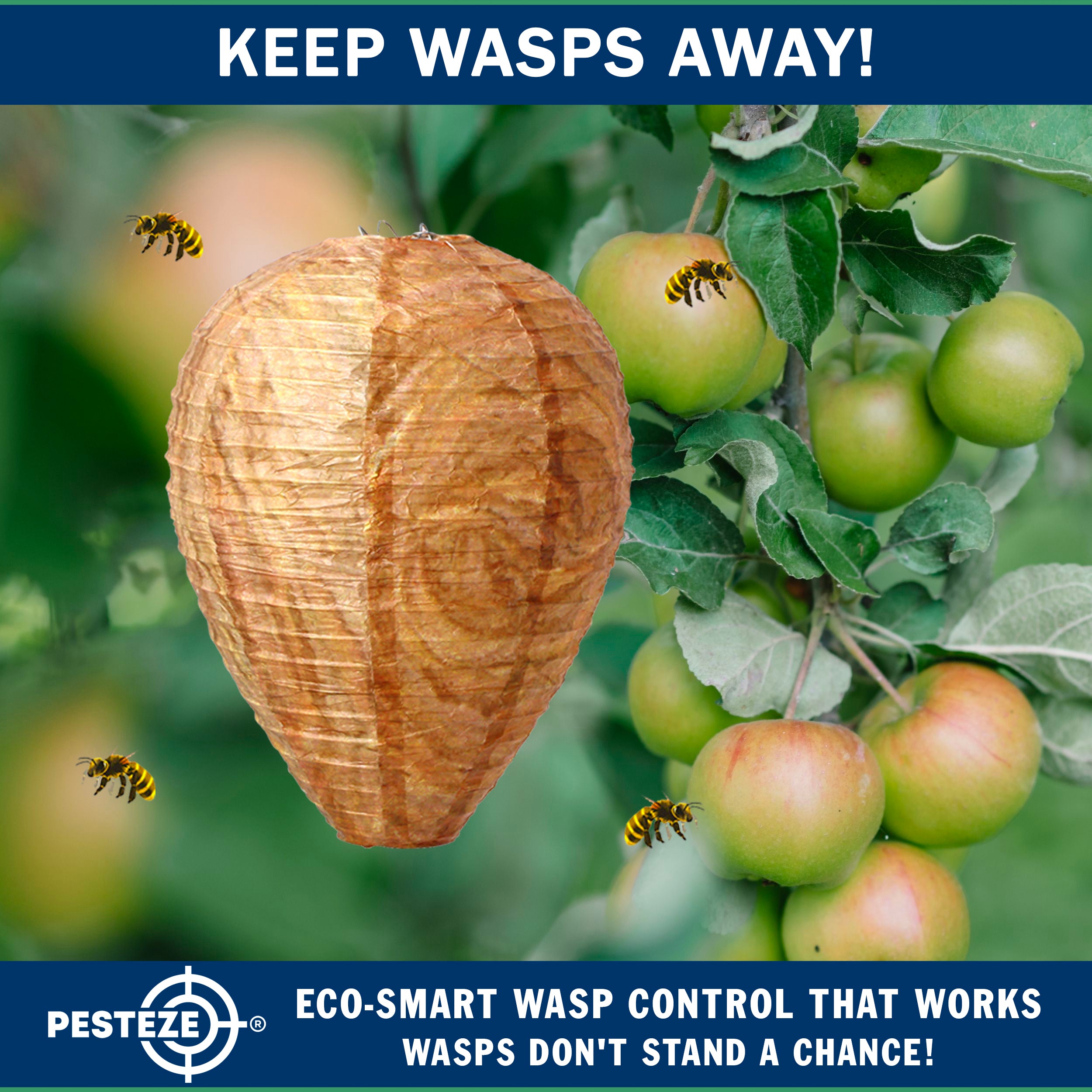PESTEZE® USA Brown Waterproof Hanging Wasp Decoy Nest [2 Pack] Deters Several Wasp, Hornet & Yellow Jacket Species by Simulating Enemy Hives.