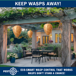 PESTEZE® USA Brown Waterproof Hanging Wasp Decoy Nest [2 Pack] Deters Several Wasp, Hornet & Yellow Jacket Species by Simulating Enemy Hives.