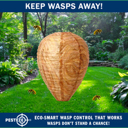 PESTEZE® USA Brown Waterproof Hanging Wasp Decoy Nest [2 Pack] Deters Several Wasp, Hornet & Yellow Jacket Species by Simulating Enemy Hives.