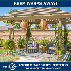 PESTEZE® USA Brown Waterproof Hanging Wasp Decoy Nest [2 Pack] Deters Several Wasp, Hornet & Yellow Jacket Species by Simulating Enemy Hives.
