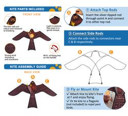 PESTEZE® USA Realistic Hawk Kite [47x27 Inch] EZ & Fun to Fly. Also Provides Humane Bird Deterrence in Yards & Farms. Protects Vegetables, Fruits & Crops from Pest Birds & Critters